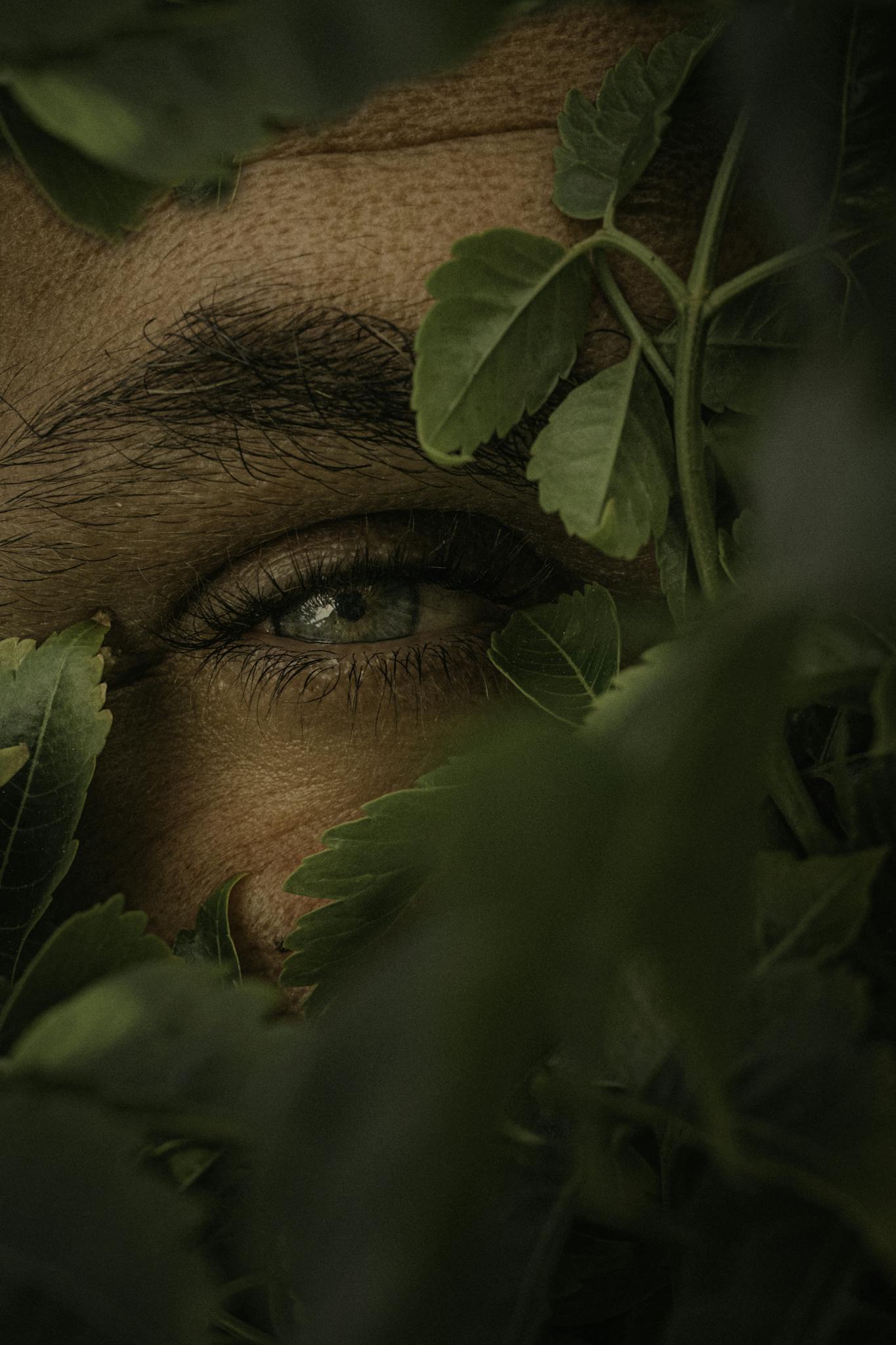 Intimate portrait of an eye surrounded by lush green leaves, capturing a sense of mystery.